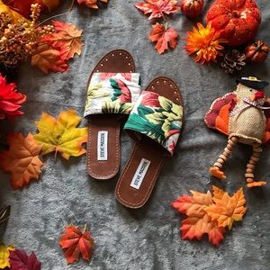 Steve Madden Slide On Sandals